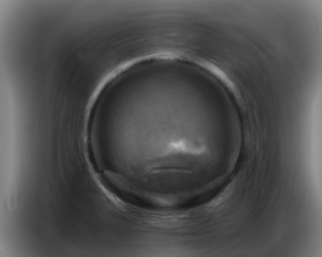 X0000086801327200704201856