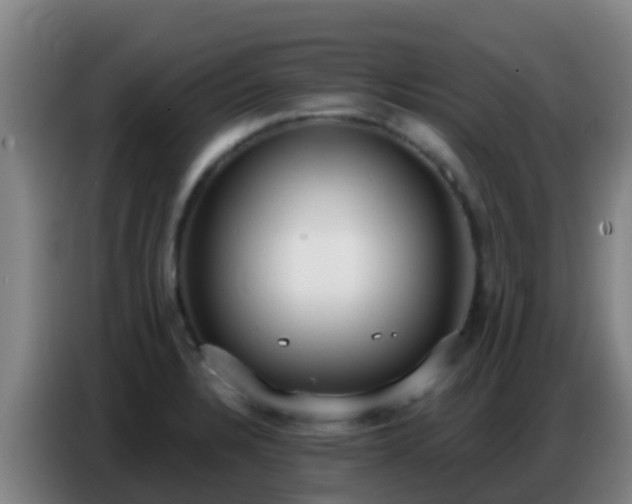X0000086801328200704201856