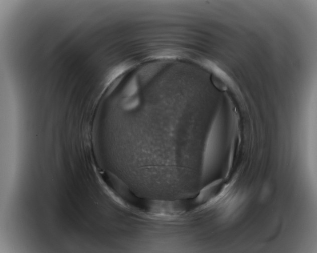 X0000086801329200704201856
