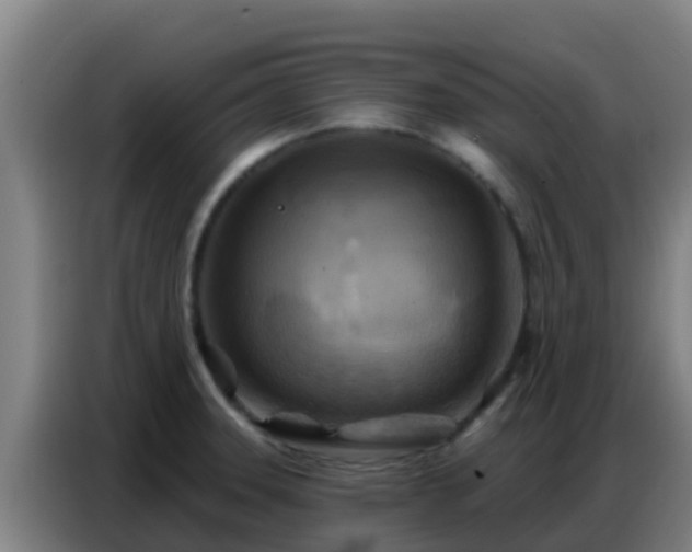 X0000086801331200704201856