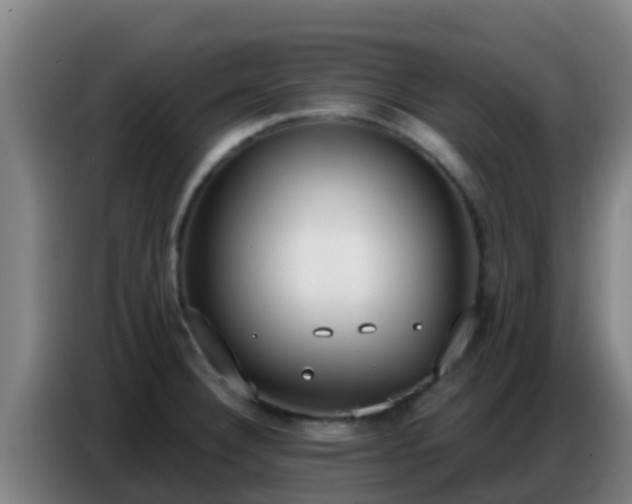 X0000086801332200704201856