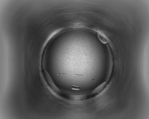 X0000086801333200704201856