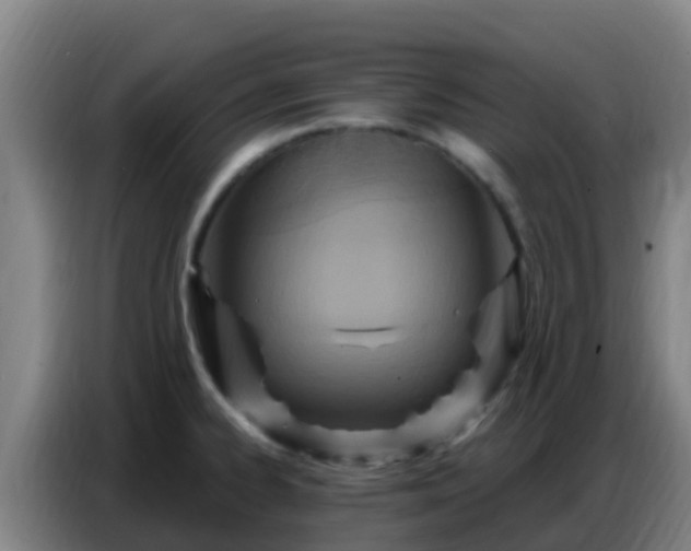 X0000086801334200704201856