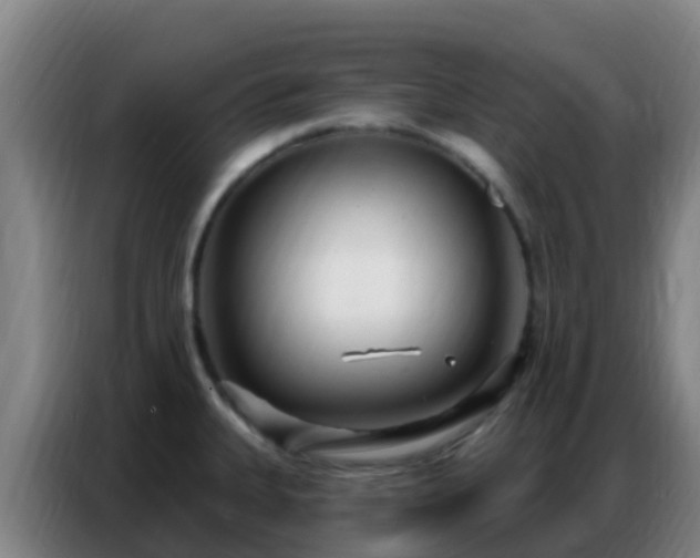 X0000086801335200704201856