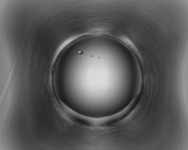 X0000086801336200704201856