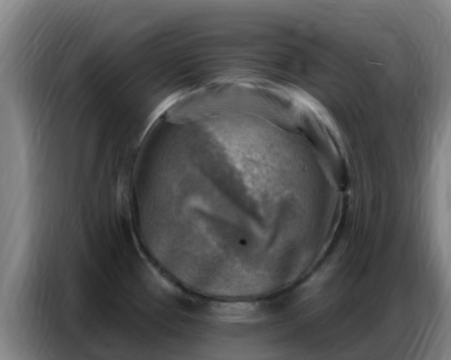 X0000086801337200704201856