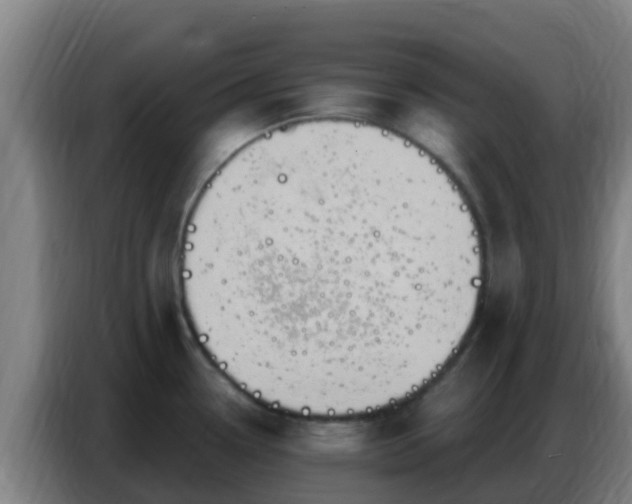 X0000086801338200704201856