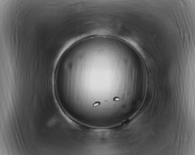 X0000086801343200704201856