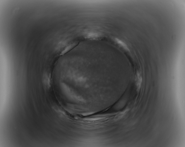 X0000086801348200704201855