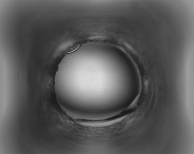X0000086801351200704201855