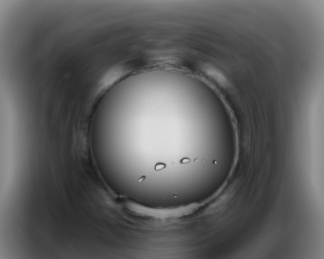 X0000086801354200704201855