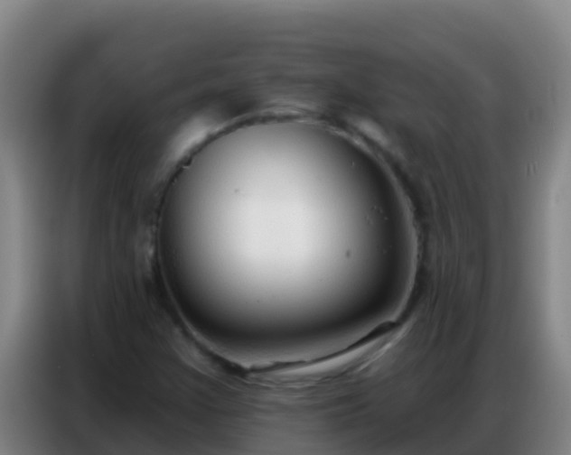 X0000086801355200704201855