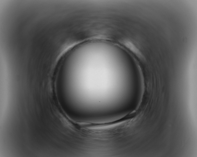 X0000086801356200704201855