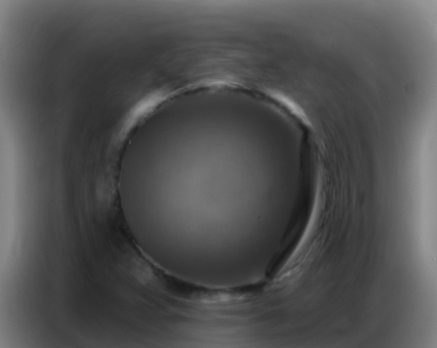 X0000086801359200704201855