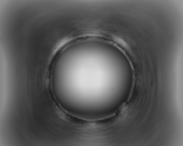 X0000086801360200704201855