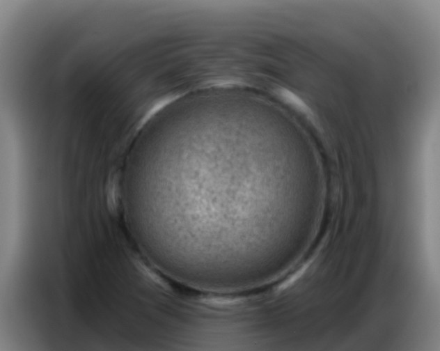 X0000086801361200704201855