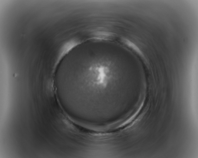 X0000086801362200704201855