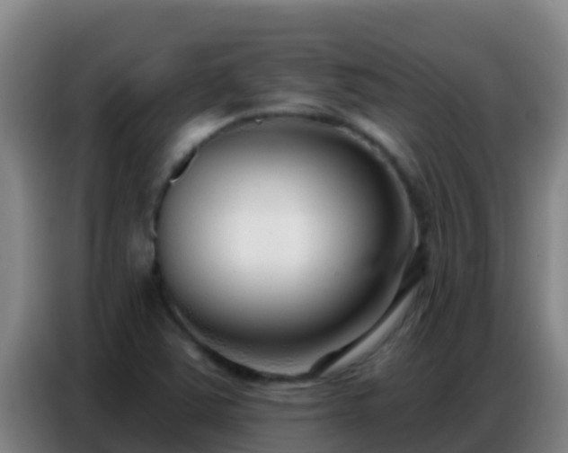 X0000086801363200704201855
