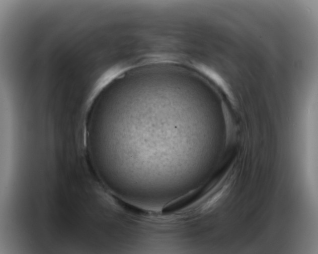 X0000086801365200704201855