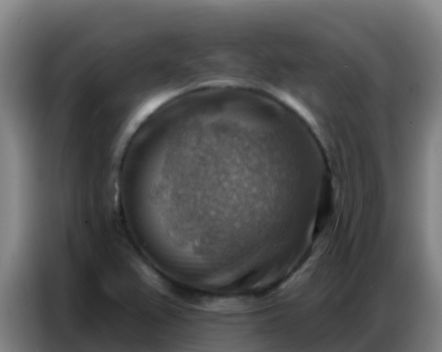 X0000086801367200704201855
