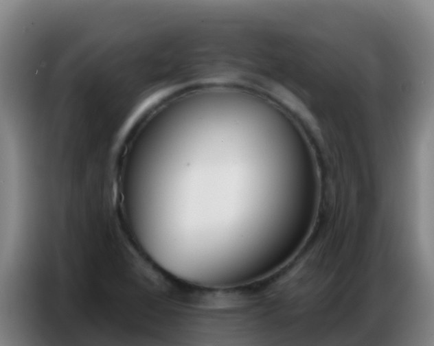 X0000086801368200704201855