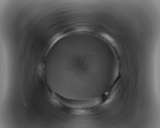 X0000086801369200704201855