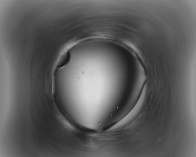 X0000086801371200704201855