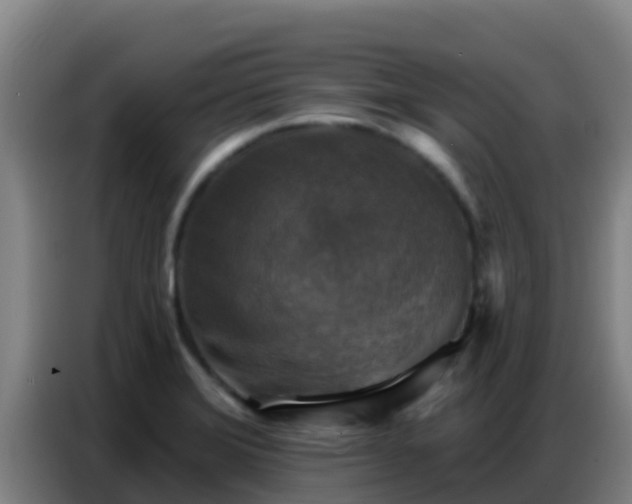 X0000086801372200704201855