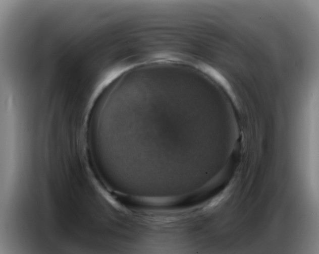X0000086801373200704201855
