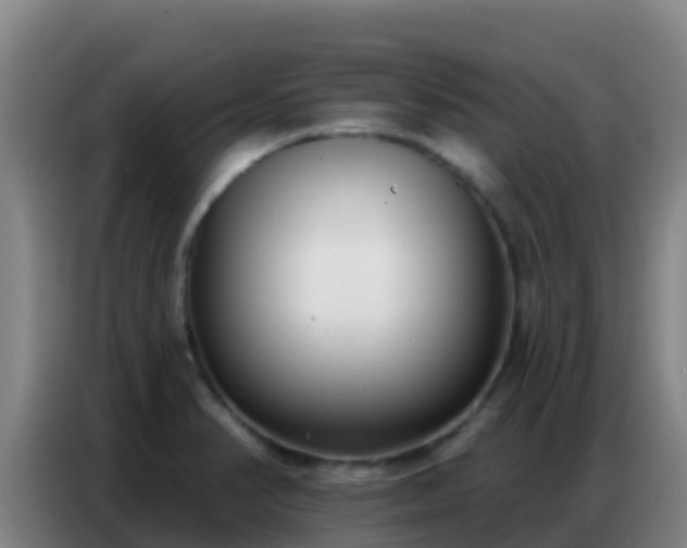 X0000086801374200704201855