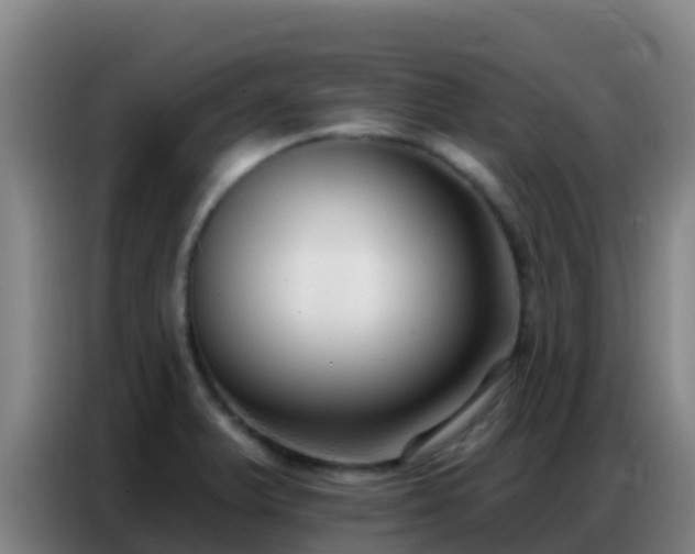 X0000086801375200704201855