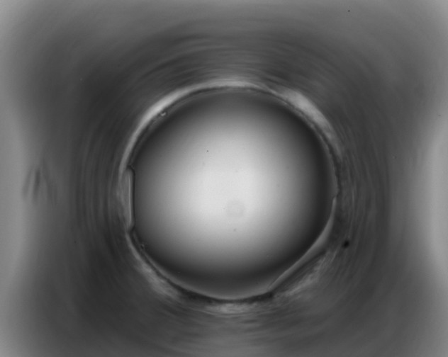 X0000086801380200704201855