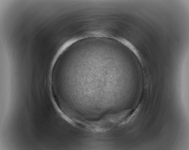 X0000086801381200704201855
