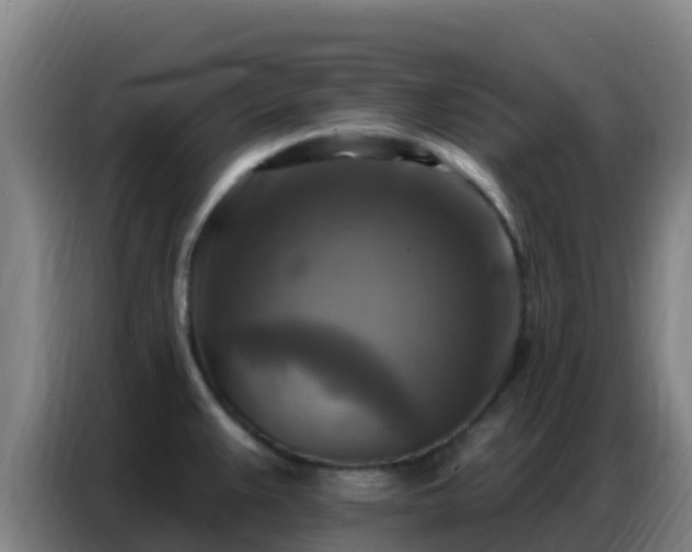 X0000086801383200704201855