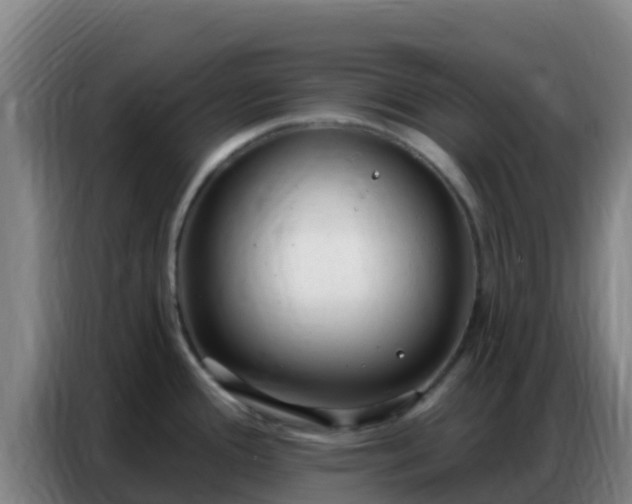 X0000086801388200704201855