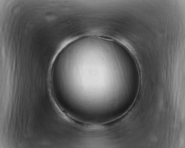 X0000086801392200704201855