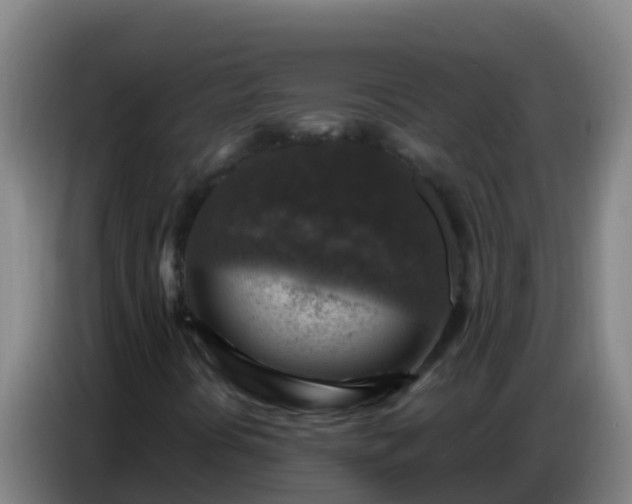 X0000086801394200704201854