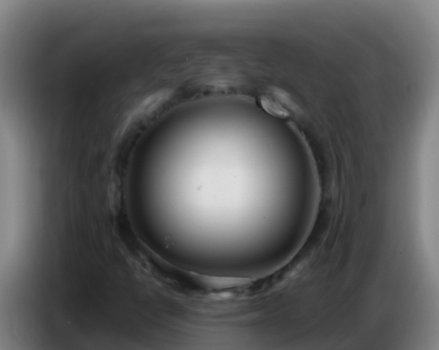 X0000086801398200704201854