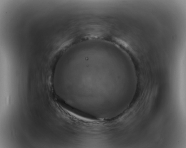 X0000086801399200704201854