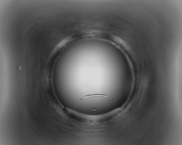 X0000086801403200704201854