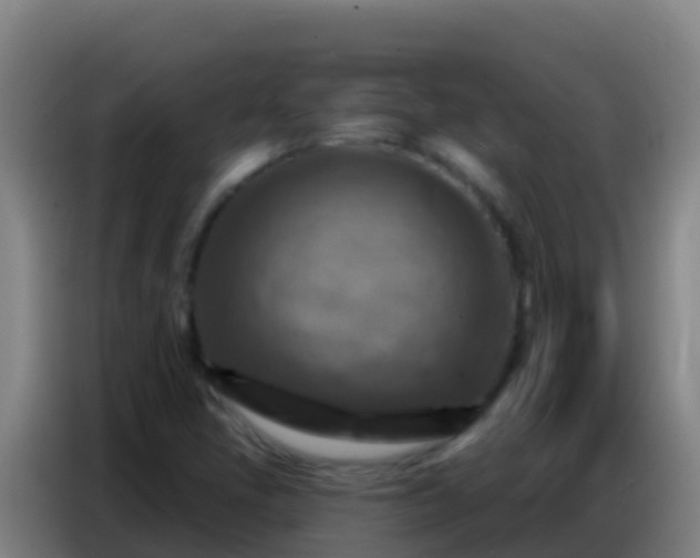 X0000086801405200704201854