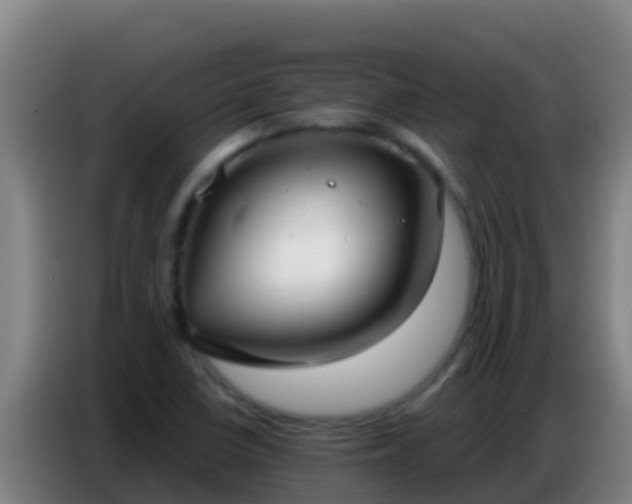 X0000086801410200704201854