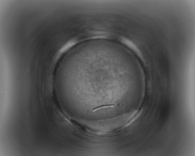 X0000086801411200704201854