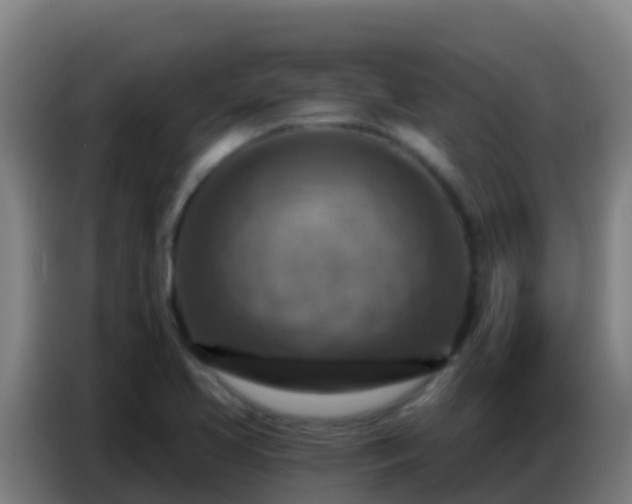 X0000086801413200704201854