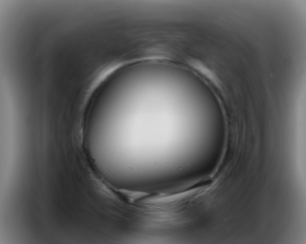 X0000086801415200704201854
