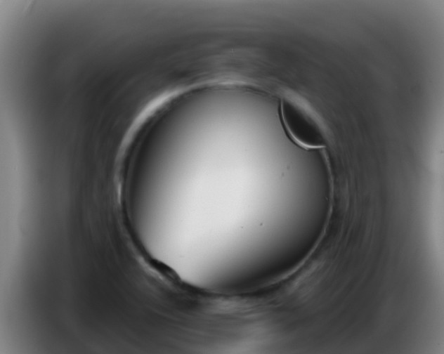 X0000086801416200704201854