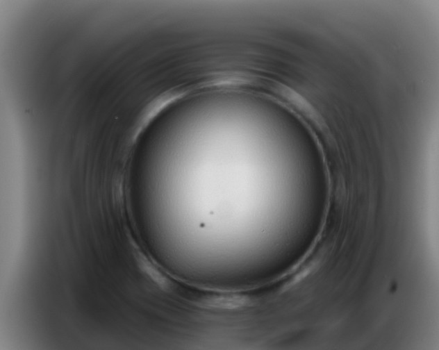 X0000086801417200704201854