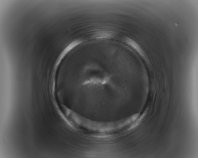 X0000086801418200704201854