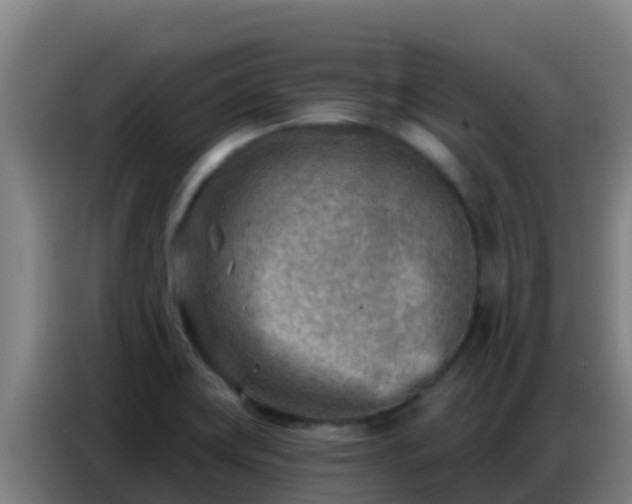 X0000086801419200704201854