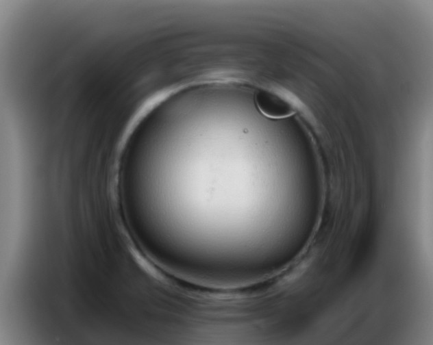 X0000086801421200704201854